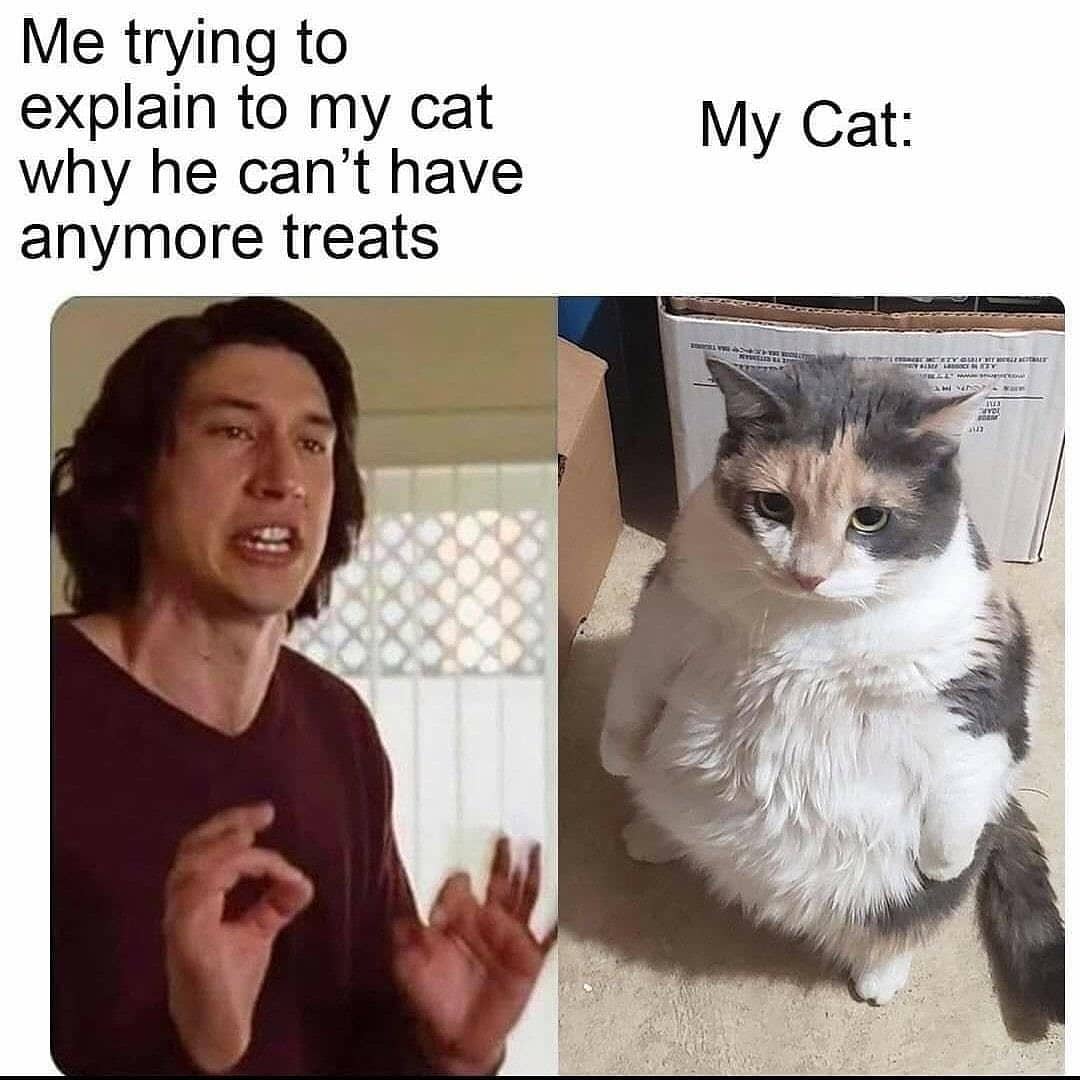 Take_Meow_Hand's tweet photo. https://t.co/TUbED6LxL1