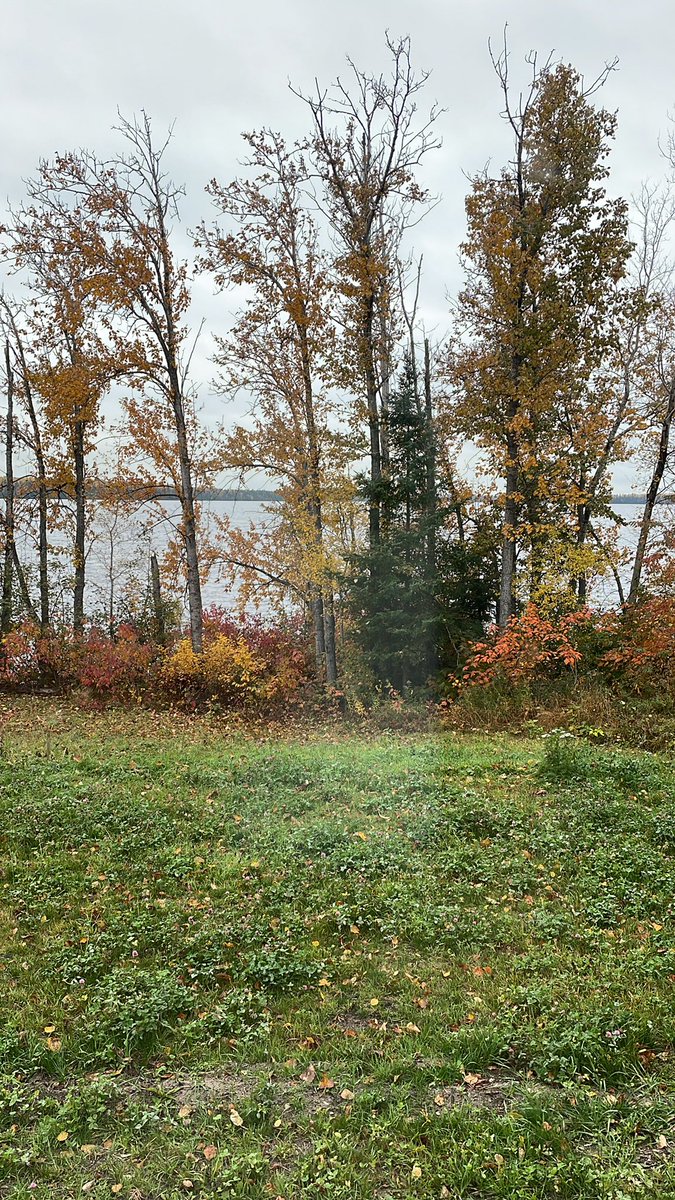 mannisto72's tweet photo. Starting to look like fall! @MannistoCay #fallchores https://t.co/mIngVjaExp