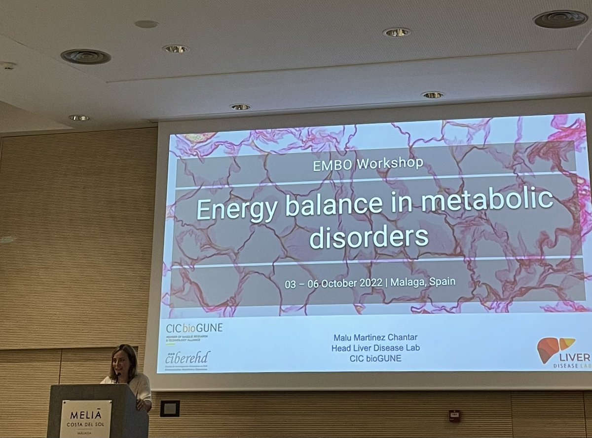 Naroa Goikoetxea (@naroagoiko) on Twitter photo 🗣 <a href="/chantarlab/">MaluMChantarlab</a> is sharing the latest results regarding “Magnesium homeostasis in Liver Disease” at <a href="/EMBOevents/">EMBO Events</a> #EMBOmetabolism2022 👩🏼🔬✨ 🗣 <a href="/chantarlab/">MaluMChantarlab</a> is sharing the latest results regarding “Magnesium homeostasis in Liver Disease” at <a href="/EMBOevents/">EMBO Events</a> #EMBOmetabolism2022 👩🏼🔬✨