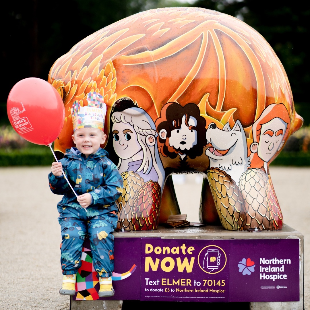 Straight onto our next auction, tonight it's Elmer's turn! 🌈

All 36 large sculptures from <a href="/ElmerBelfast/">ElmerBelfast</a> and an extra special lot 👀 will be raising funds for <a href="/NIHospice/">NI Hospice</a> 

Bid online 👉 elmerbelfast.co.uk/event/elmer-au…

#wildinart #elmerbelfast #arttrail #auction #art #event