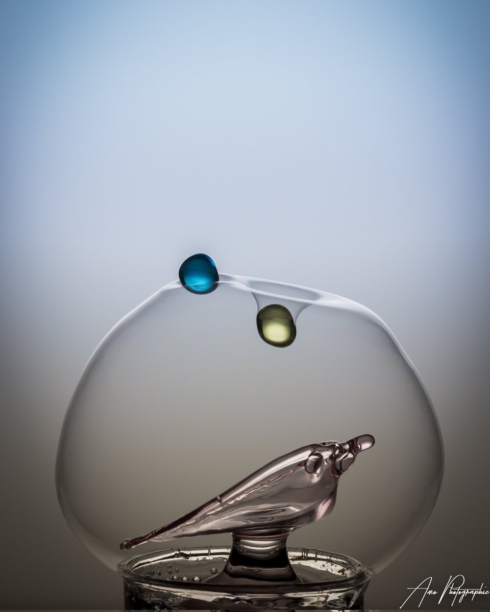 Je vous souhaite une excellente journée 😊