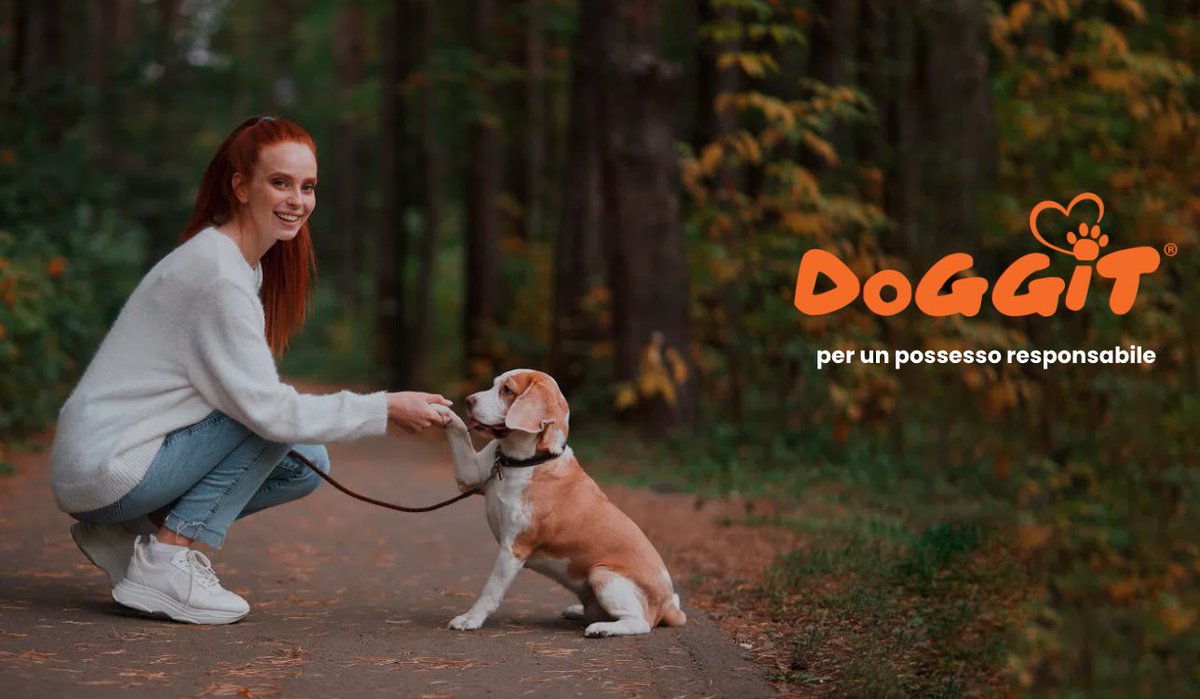 enpaonlus's tweet photo. Vuoi adottare un cane in un rifugio? Gratis la guida video gratuita all'adozione: tutto quello che occorre sapere prima di prendere un cane in un rifugio.
๐ https://t.co/QJWY3d7b8b
@Anmvi @enpaonlus #Doggit https://t.co/npOO5nxFzL