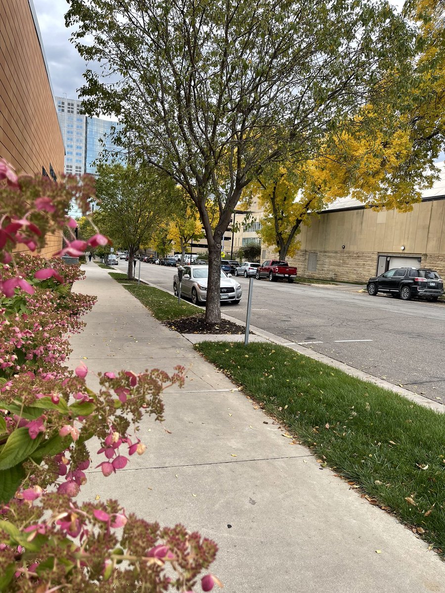 drashimayadav's tweet photo. Falling for fall 🥰 🤩🍁🍂 https://t.co/TAbrC2TJHs