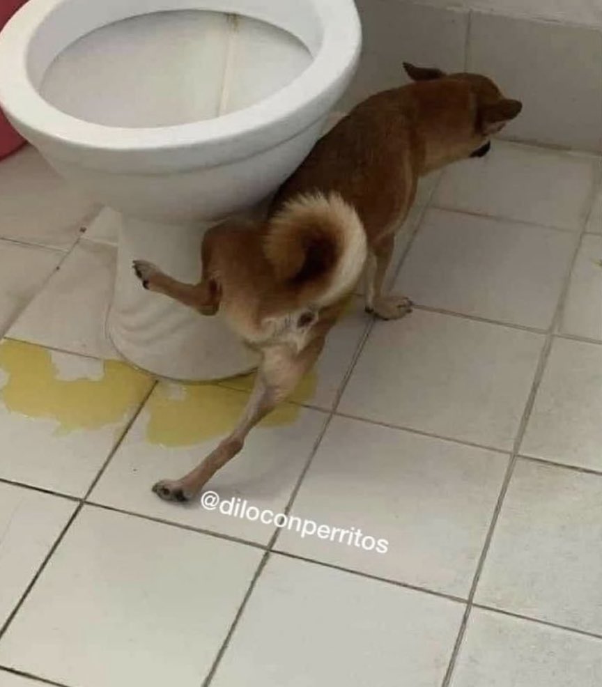 La intención es lo que cuenta