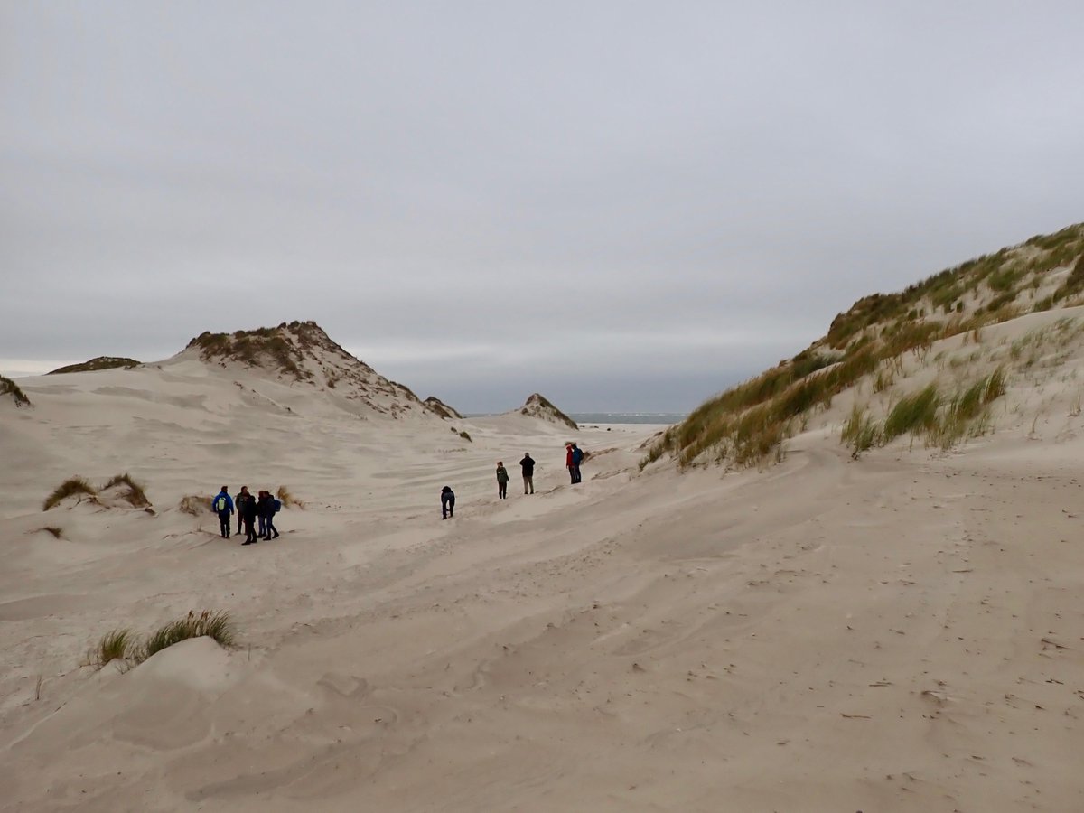 ErikvdSpekTexel's tweet photo. Meerdaags symposium 'Levende Duinen: veilige natuurrijke duinen'

(16) 17-18 november symposium 'Levende Duinen; veilige natuurrijke duinen'. Om kennis over dynamisch kustbeheer te delen met excursies naar De Slufter en  naar Prins Hendrikzanddijk en Zuidwestkust Texel. https://t.co/RB0aXwHjoN