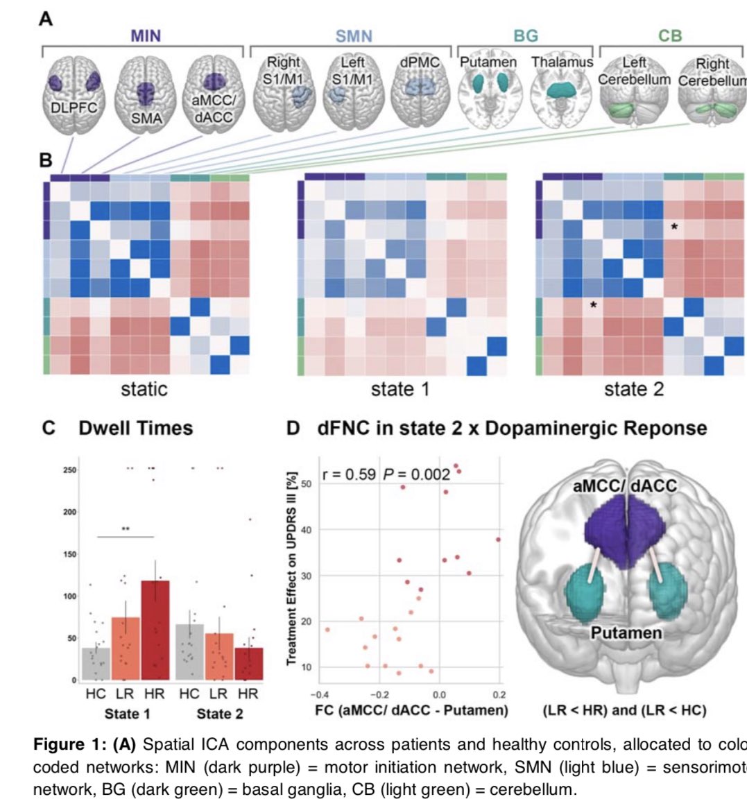 annabonkhoff's tweet photo. Excited to have been involved in this fantastic project on #dynamic #functional #connectivity and the response to dopaminergic treatment in #Parkinsons #Disease 🧠💊

#DFNC https://t.co/BoLxw9UIpn