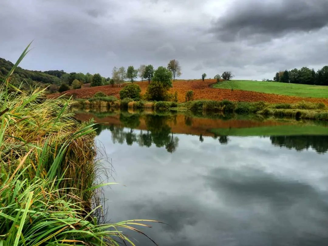 visitbrinje's tweet photo. #FallingForCroatia #BestFallCroatiaBucketList #VisitBrinje
Autumn by Lake Brodić 🍂🍁🍄🎣
Foto: Ivan Butković
#hrvatska #hrvaška #croacia #croatia #croazia #brinje #europe #autumn #autumn2022 #jesen #loveautumn #world #hrvatska🇭🇷 #visiteurope #visitlikasenjcounty https://t.co/742cb4wC1m