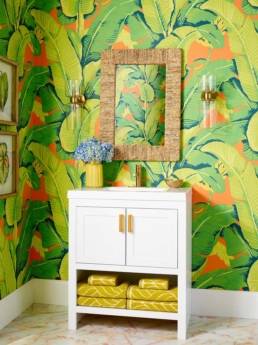 thescalamandre tweet media