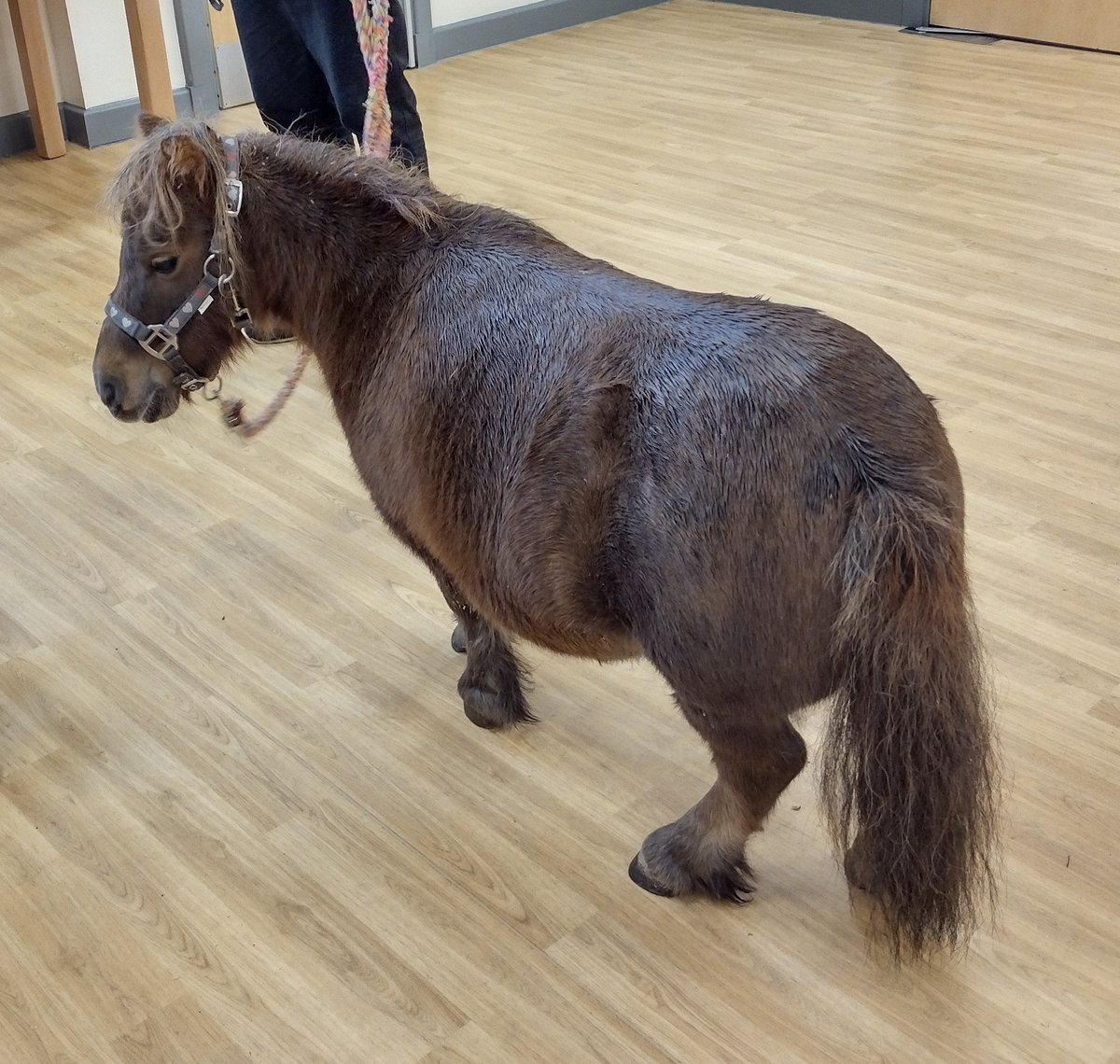 David Milligan-Croft tweet media