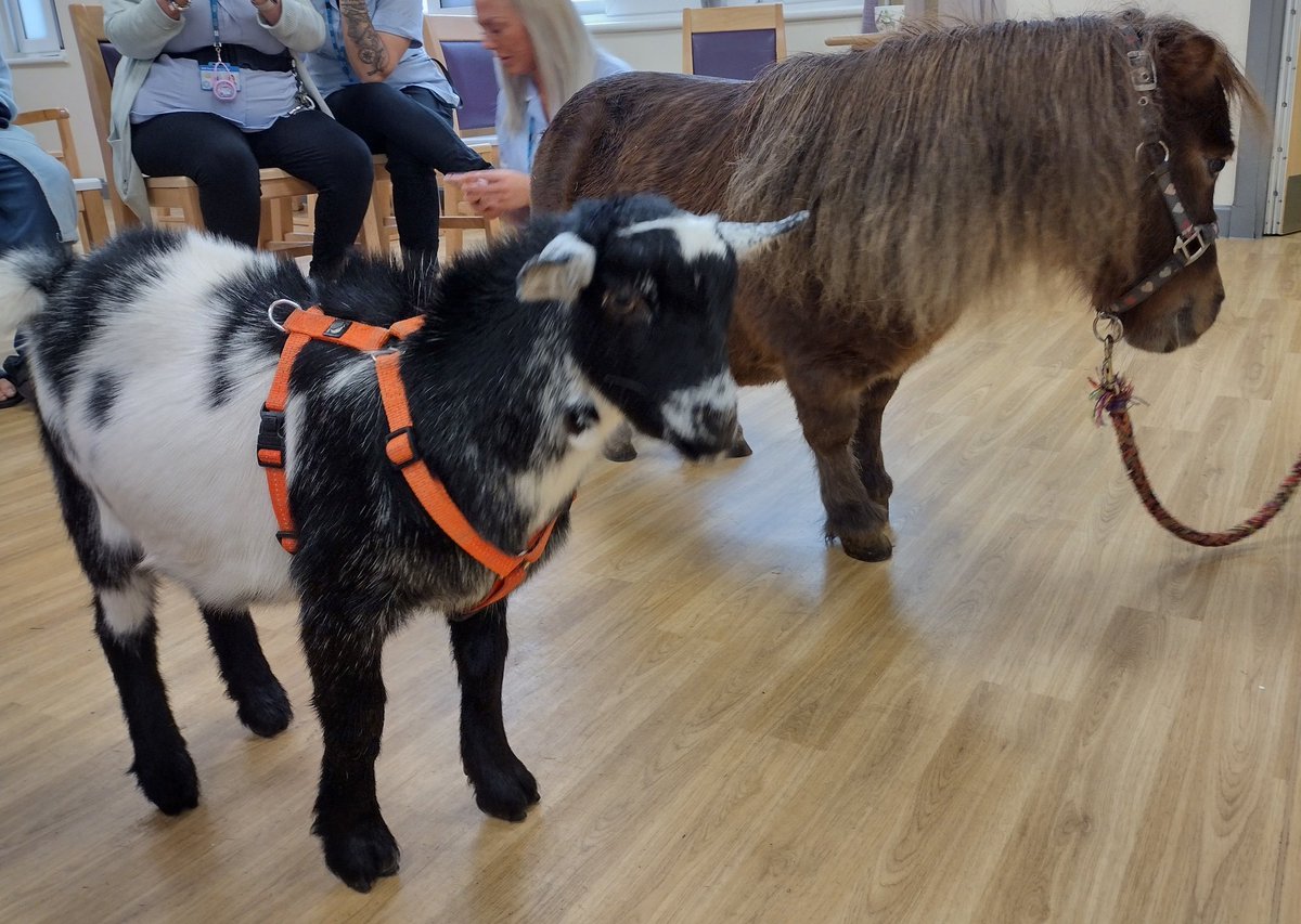 David Milligan-Croft tweet media