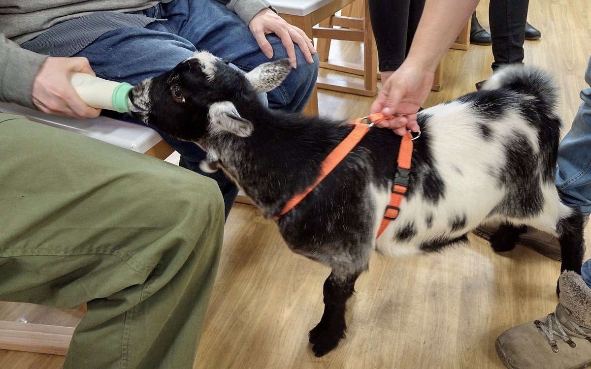 David Milligan-Croft tweet media