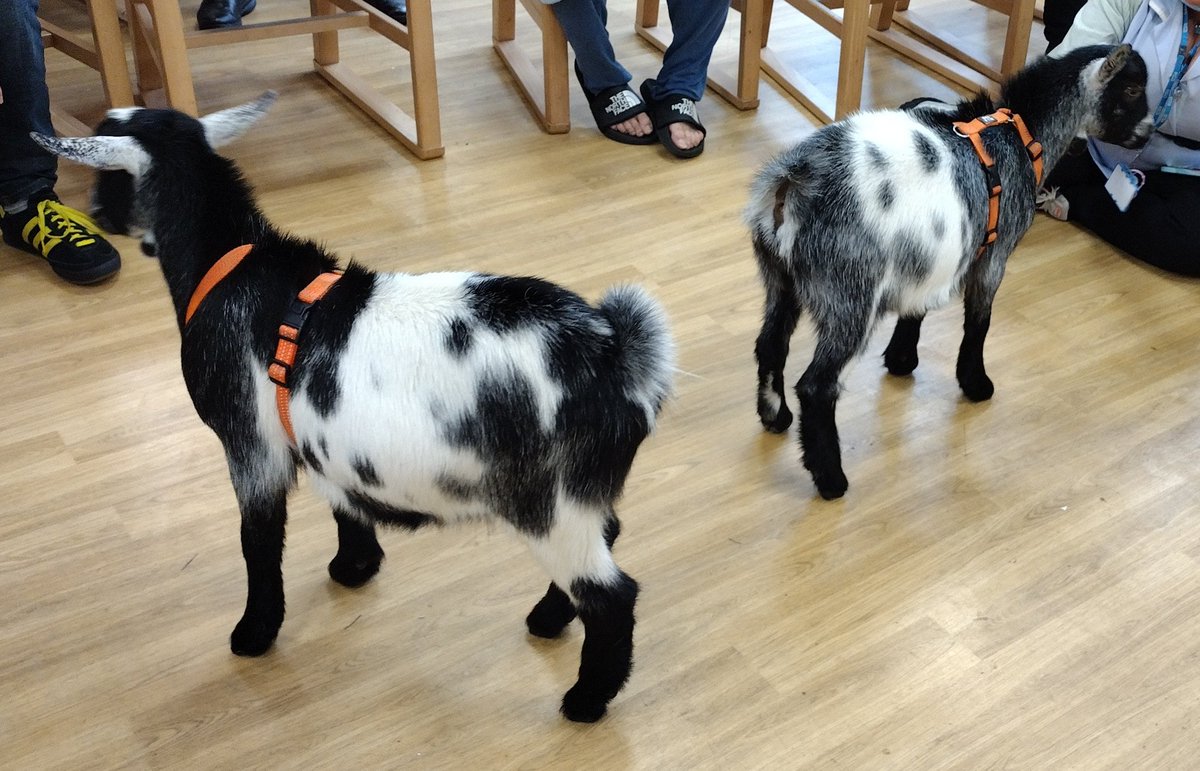 David Milligan-Croft tweet media