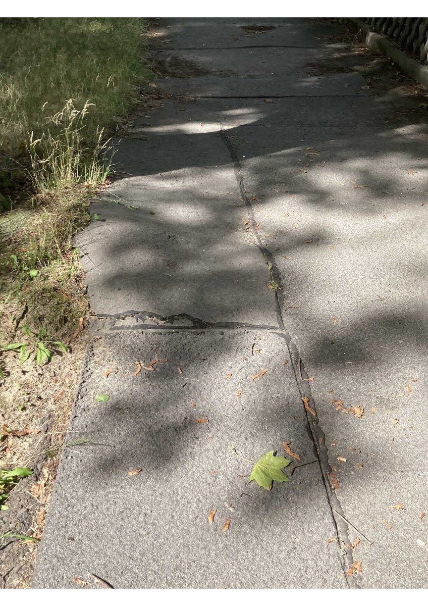 SeniorenSpandau's tweet photo. #Stolperfallen in #Spandau - gefährlich nicht nur für SeniorInnen, Gehbehinderte und Blinde. Unsere neue Serie, Folge 1: Hellebergeweg. @thorstenschatz @Tsp_Spandau @DennisMeischen https://t.co/WCDDHhWNbg