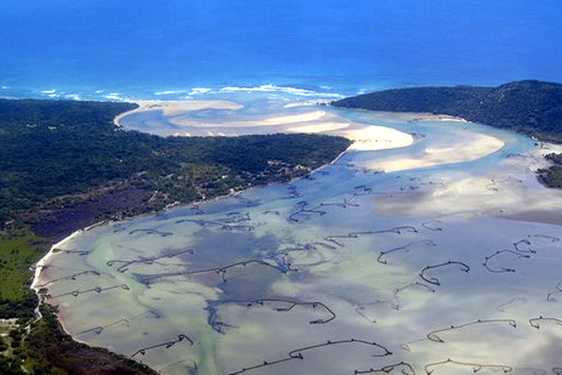 Wood #fishweirs kraals at #KosiBay of the #Thonga(Tsonga; Vatsonga) #indigenouspeople of Maputaland in KwaZulu-Natal #SA. #Thonga are Bantu ethnic group who have long tradition #fishweirs used in the brackish lakes of #KosiBay.1/4
<a href="/DecadeHeritage/">Ocean Decade Heritage Network</a> <a href="/UNOceanDecade/">UN Ocean Decade</a> <a href="/ChairOceans/">UNESCO Chair Oceans</a>