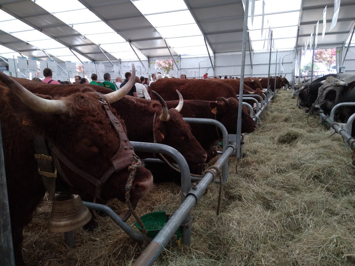 clermont2028's tweet photo. Toujours en place au @SommetElevage ! 🐂 
Médiation autour de la candidature auprès des publics et exposition photo sur la #RN89 ! 😄
Venez discuter avec notre équipe à l'entrée ! 👋

➡️ https://t.co/xIEDXLMAU9 https://t.co/9tDVh0WMIt