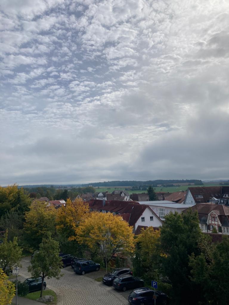 In the past two days, I had the chance to meet with the partners from #FOXfoodinabox, a project funded by <a href="/HorizonEU/">Horizon Europe 🇪🇺</a>. It was so nice to discuss #Sustainable and innovative processing technologies that support resilient, healthy, and equal #FoodSystems! <a href="/SciFoodHealth/">EU Food Health</a> <a href="/bioeconKUL/">BioeconomicsKUL</a>