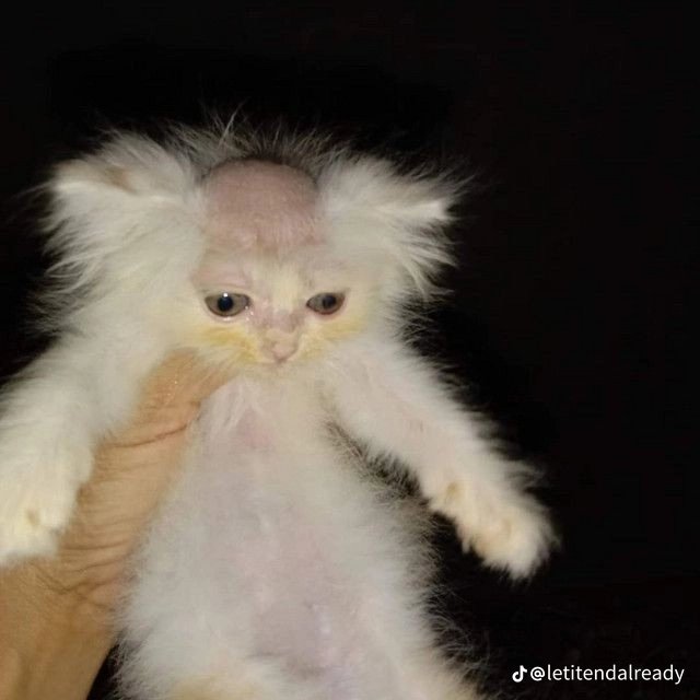 Anyone else tired af rn?