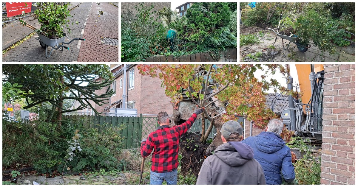 Afgelopen zaterdag organiseerde Rhiant 𝐞𝐞𝐧 𝐬𝐭𝐫𝐮𝐢𝐤𝐫𝐨𝐯𝐞𝐫𝐬𝐝𝐚𝐠 𝐢𝐧 𝐝𝐞 𝐎𝐫𝐚𝐧𝐣𝐞𝐛𝐮𝐮𝐫𝐭. Omwonenden en huurders konden op deze dag groen en ander materiaal meenemen om te hergebruiken in eigen tuin. #duurzaambezig #circulair