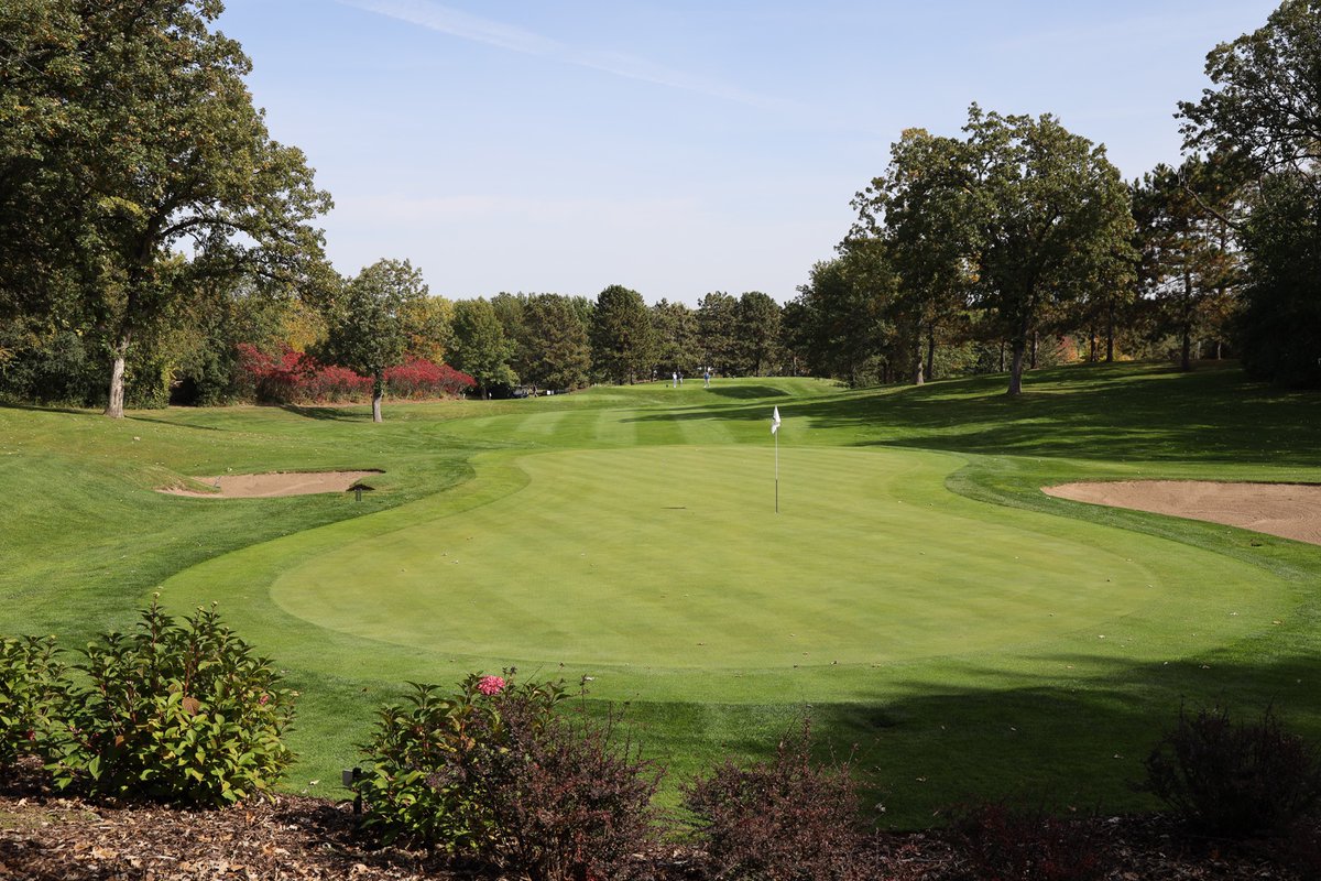 Wee One Foundation tweet media