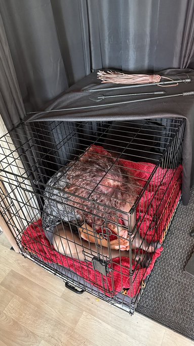 Tr&egrave;s bonne cage D/s https://t.co/X7wM9Y1DS0