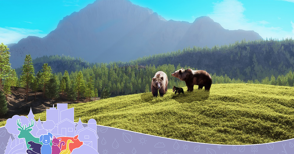 Sask Vets tweet media