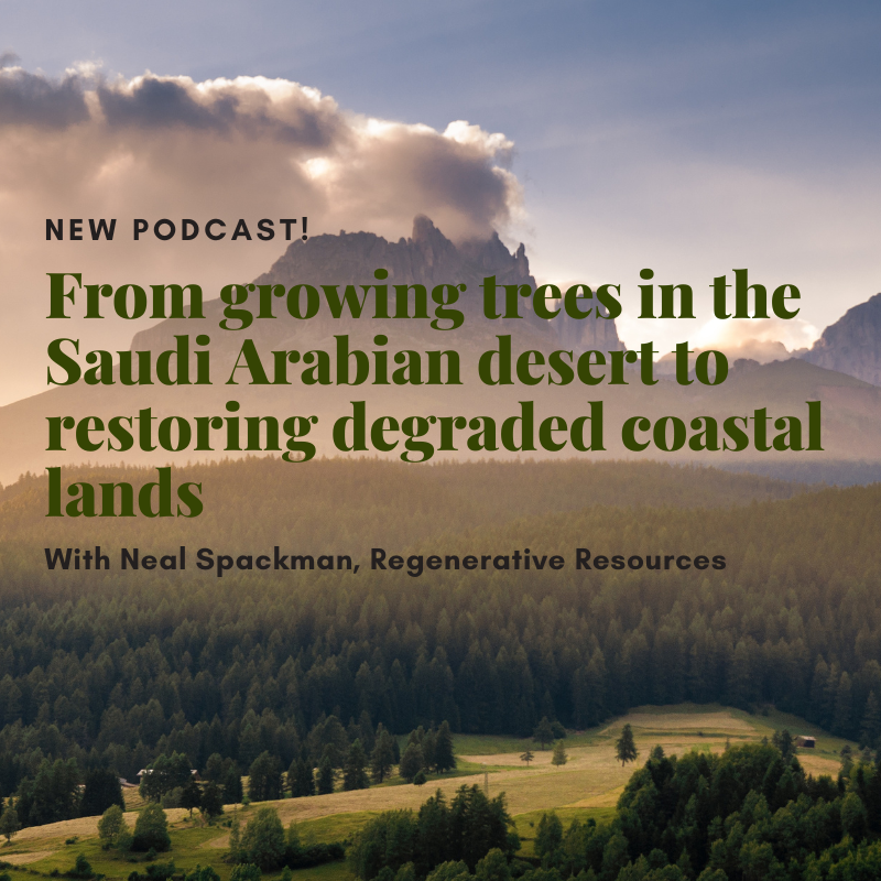 Koen van Seijen tweet media