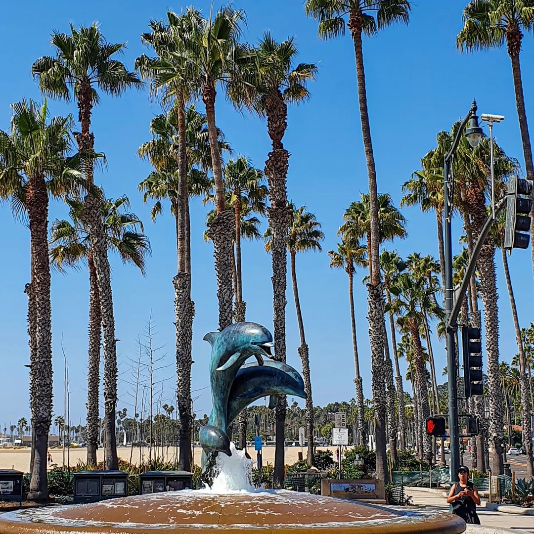 Visit Santa Barbara tweet media