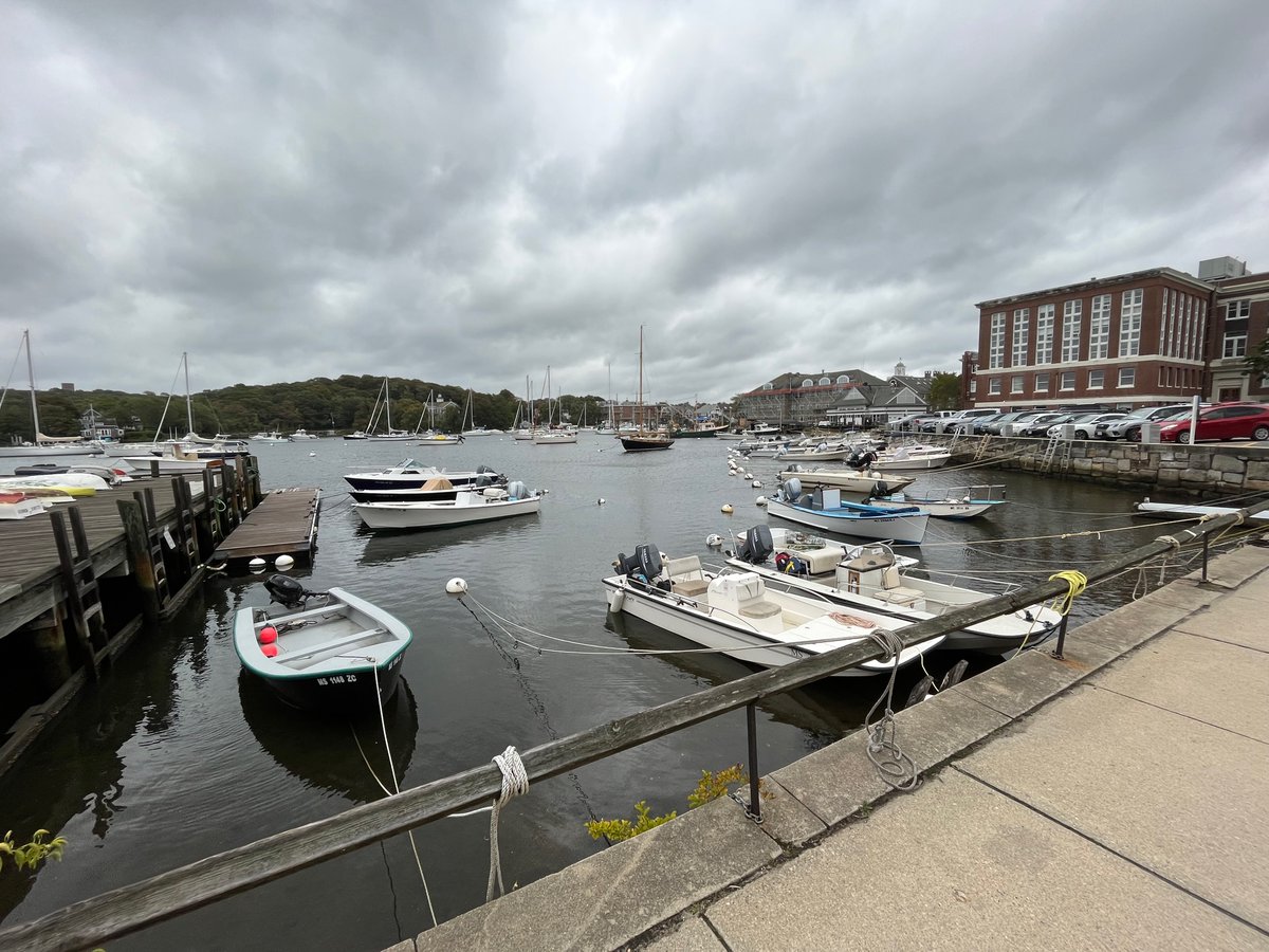 Forsthoefel Lab tweet media