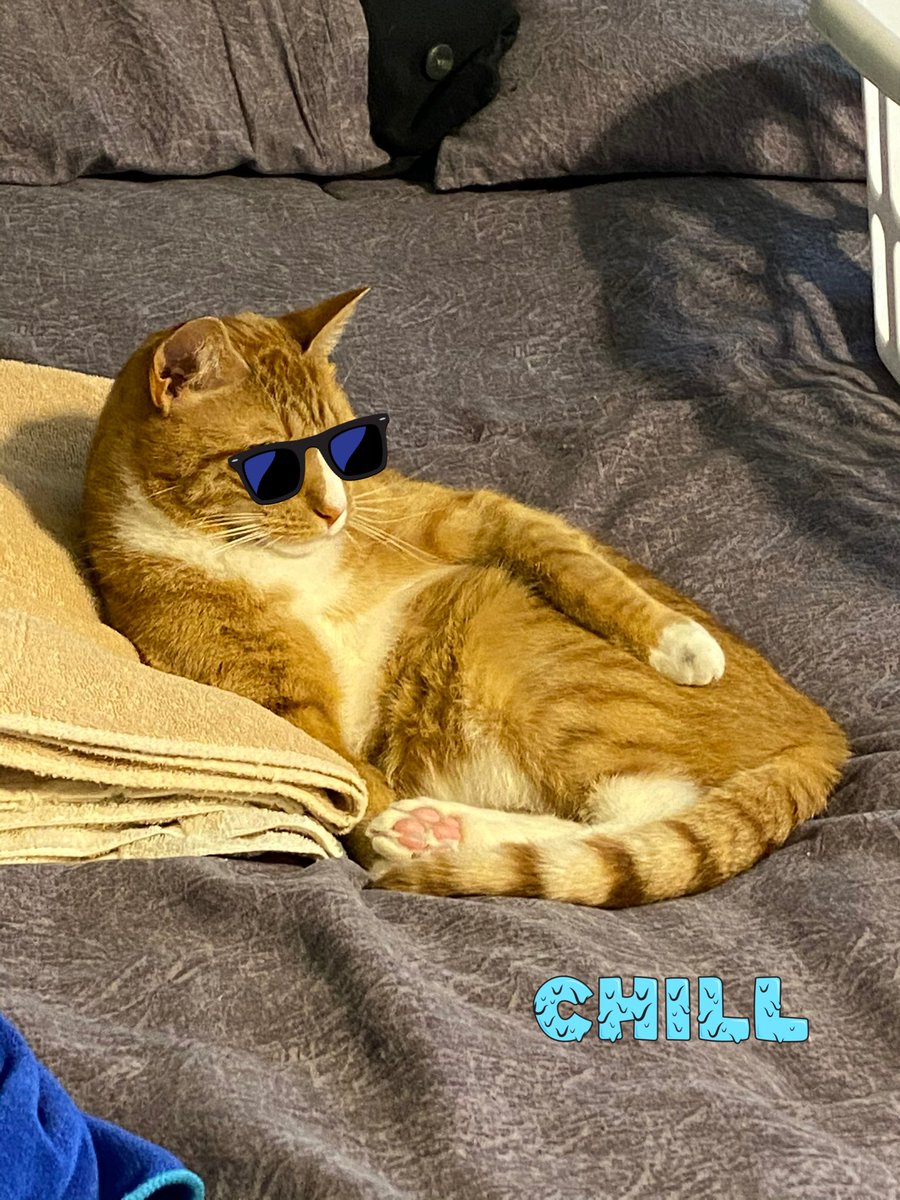 SunnyNBearbear's tweet photo. Cool beans https://t.co/ta0wap8IOD