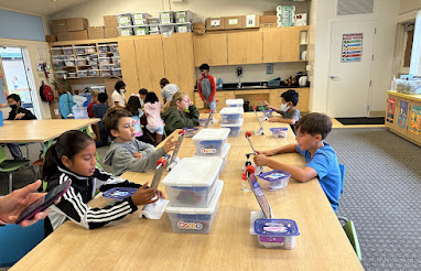 Three cheers for Fammatre's amazing students- actively engaged in robust learning opportunities!