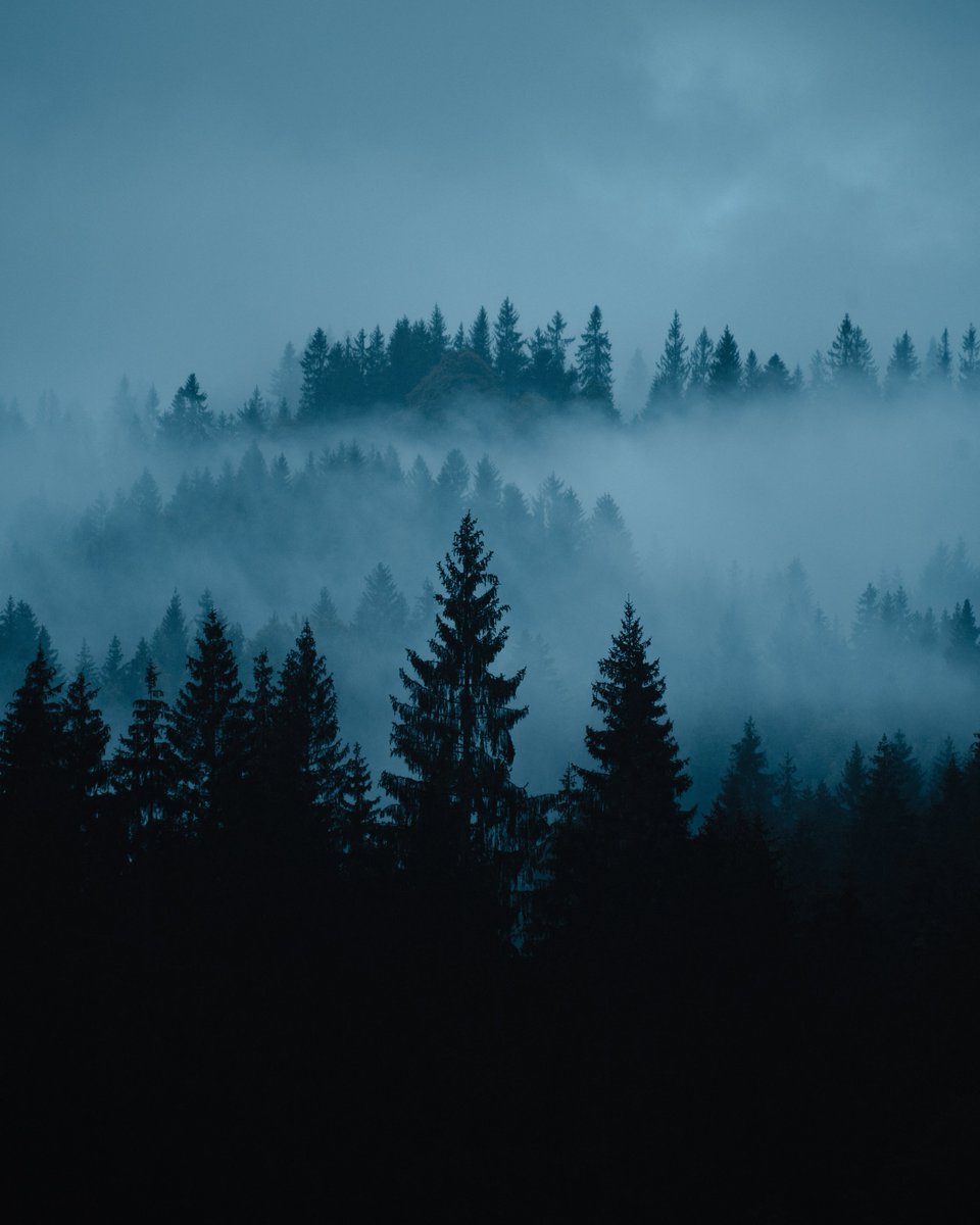 Two photos from a foggy sunrise.