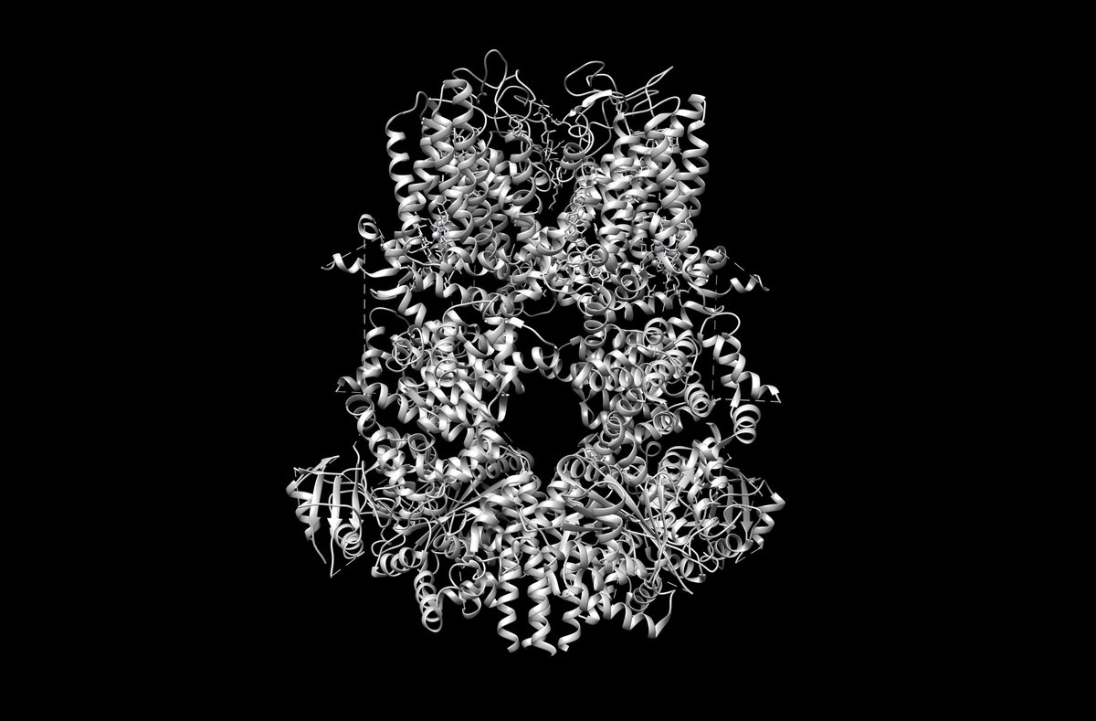 EMDB_EMPIAR's tweet photo. https://t.co/q0V1B5wUT2 gives insights into TRPM8 inhibition and desensitization! Published @ScienceMagazine (https://t.co/xkwNTMuyYQ) by last year's @NobelPrize winner @DJuliusSF and @yifan_ucsf from @UCSF! #EMPIAR #cryoEM #coldcoldcold #TeamWorkMakesTheDreamWork https://t.co/VXOqMtKTJv