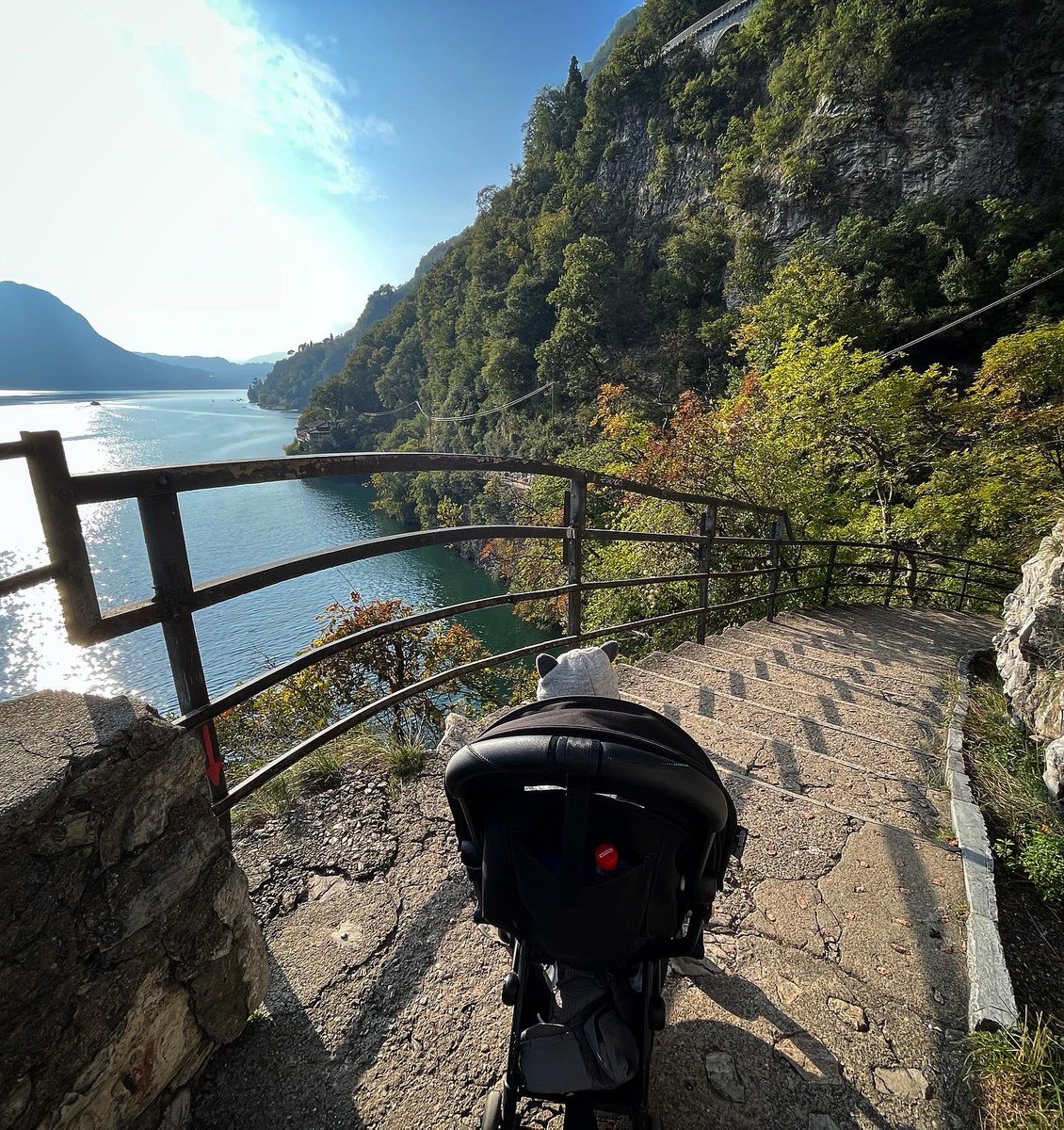 PhoebeRSmith's tweet photo. Took #WanderBoy on an e-boat today - to start an adventure - we arrived at a remote mountainside enclave on the Swiss-Italian border that was once rife with illicit trade. From here we walked (he rolled) edging cliffs and tackling many, many steps… but my goodness - belissima! https://t.co/PdDu3Cq17c