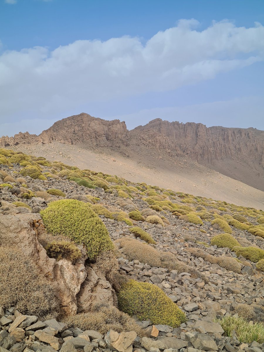 We established this permanent vegetation plot in 2001. I still like the setting ... (ca 2.5 km west of Tizi el Fugani, Ameskar, Mgoun area, Morocco)