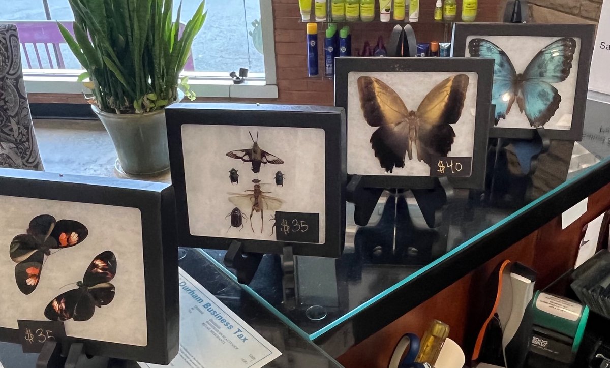 strvngrtst's tweet photo. 🎨🥂🎨🥂🎨

💥Where: #AlteredImageHairDesigners
💥When: Nov. 5th, 2022
💥Time: 4-6pm
💥Who: artists @strvngrtst and #VicAlfieri

#downtown #durhamNC #artreception #mixedmedia https://t.co/XRPkO6qmqg