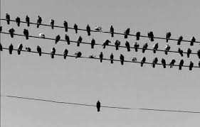 You need ppl to grow. Be open to new opportunities. Come be apart of what we're doing locally.