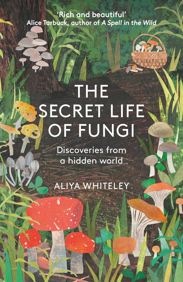Early evening call for an extract from #TheSecretLifeOfFungi by @AliyaWhiteley wp.me/p5IN3z-iUd @eandtbooks @alisonmenziespr