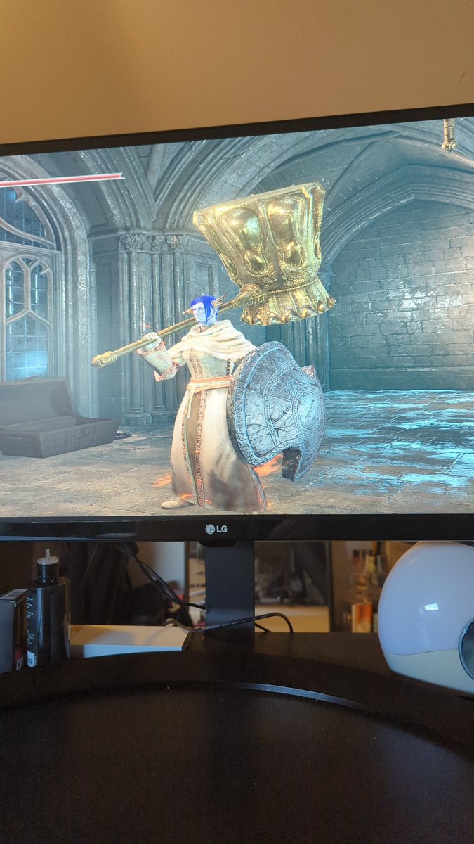 The only way I'll play a souls game: a shield and a womp weapon 😎