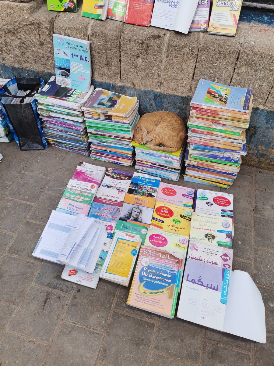 Slav Cat is on holiday in Morroco for the next 10 days, see you all soon!