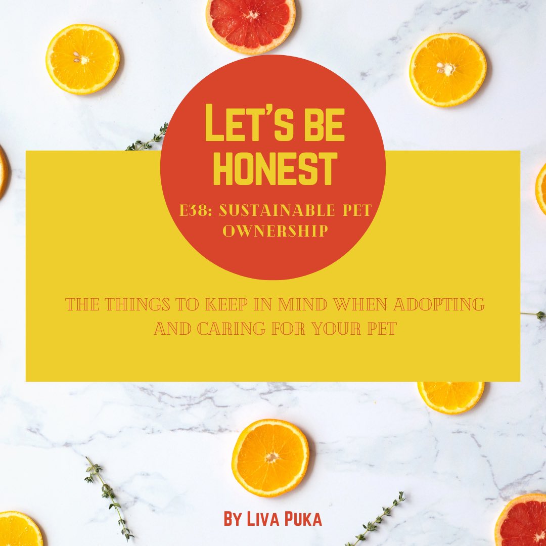 Episode 38 of Let’s Be Honest is out!🥳

Do you know how to sustainably take care of your pets?🐶🐱

👉Find it out clicking on the following link: lnkd.in/dFByAA4M

#foodwaste #foodwastewarriors #sustainability #sustainable #lifestyle
