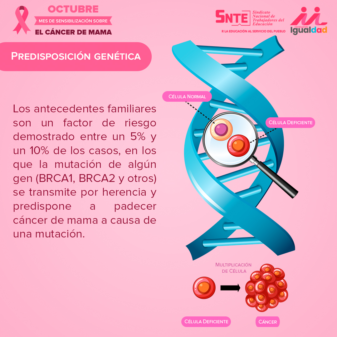 SriaEquidGenDH's tweet photo. #SNTEunoAuno
#SNTEConEllas
#SNTEconEllos
#SNTEContigo
#MesRosa https://t.co/nxDQiScIqP