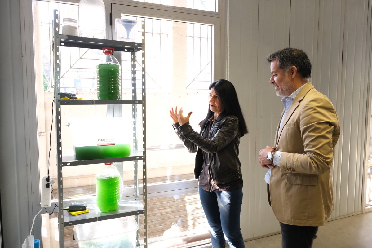 Pablo Lera tweet media