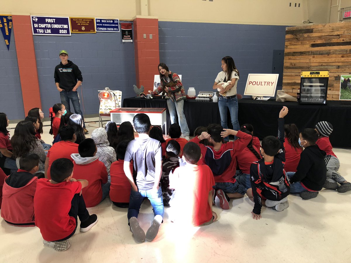 AgMag_NISD's tweet photo. What a great day for Ag in Action. Awesome student presentations @NISDOConnorHS @NISD @NISDElemSS @NISD_CTE https://t.co/F7QbcnRFPi