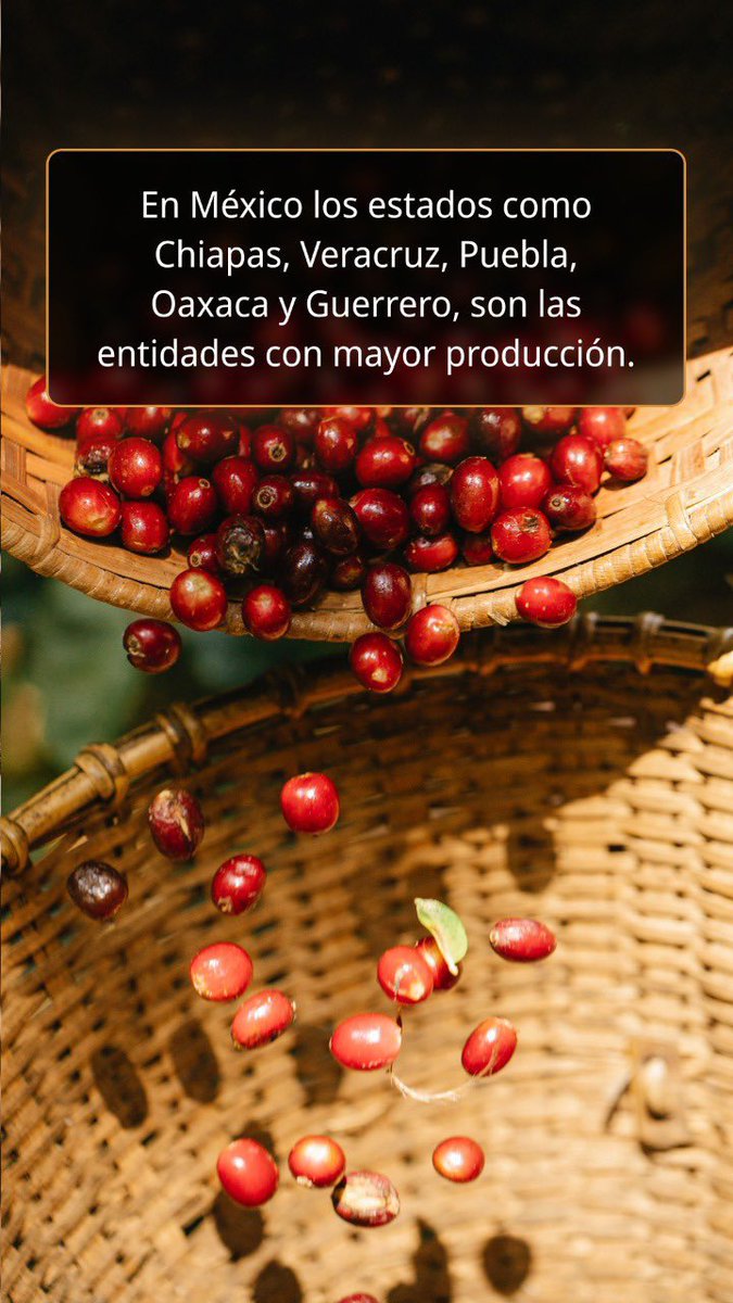 Con el #pasaportedecafe apoyas al campo Mexicano, de esta forma ayudas como #todosporelcafe