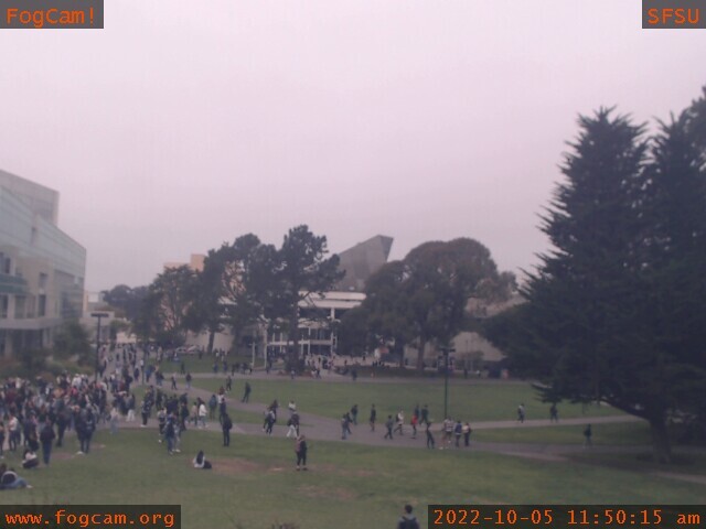 FogCam! tweet media