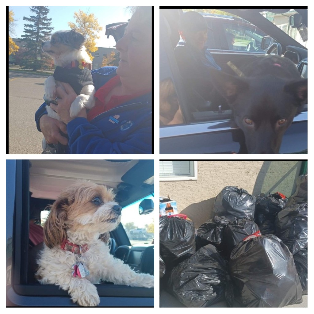 ParachutesP's tweet photo. Wow! Thank you everyone who donated your empties! You raised $384.75!
A special shout out to East Hills Bottle Depot for always being so accommodating & helpful!
#peoplepetscommunity #bottledrive #thankyout #success #fundraiser #donation #giveback #makeadifference @Servprocan https://t.co/D09LwTK5H4
