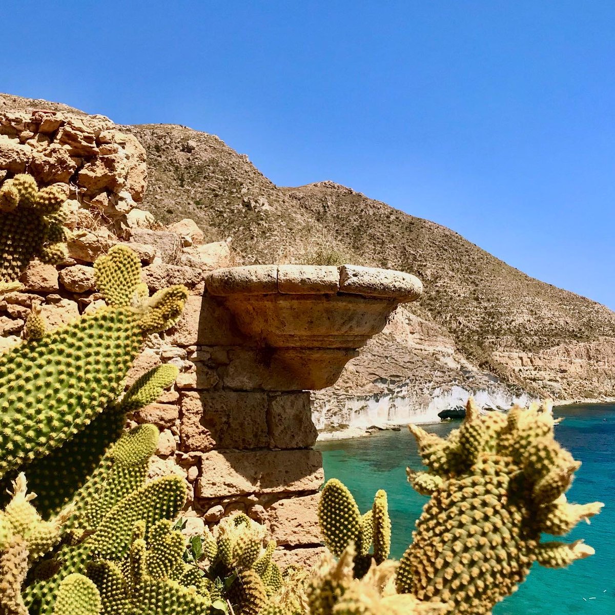 AlmerienseHarto's tweet photo. Cala de San Pedro. Cabo de Gata. #Almería.
(Fotografía de perdidoenelcabodegata en Instagram) https://t.co/q0Yl5TKu4K