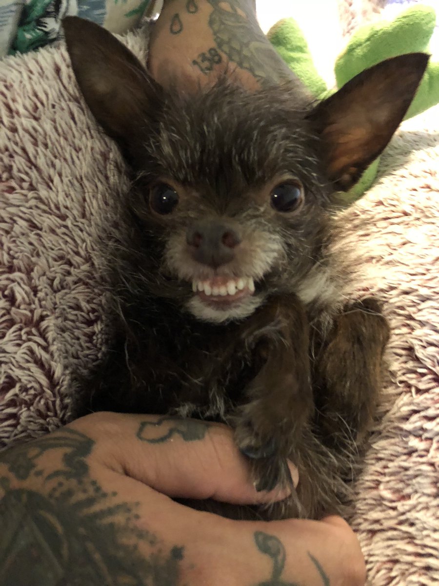 Shawn Conard tweet media