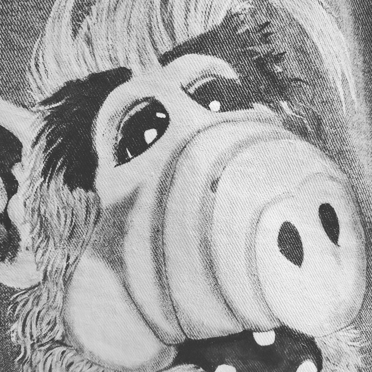 HonuaPelusa's tweet photo. ¡No hay problema! Alf ha vuelto para quedarse en una de nuestras chaquetas 😍
#alf #notproblem #90s #80s #series #chaquetas #chaquetasjeans #moda #jacket #art #customjacket #handmade https://t.co/FQUAJZir7t