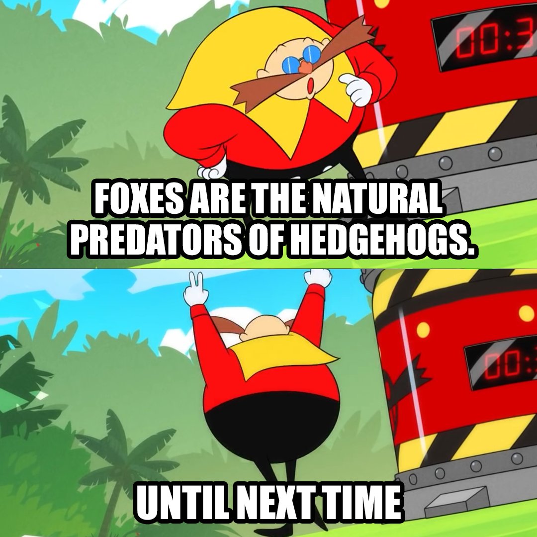 Sonic The Hedgehog On Twitter Makes You Think Https T Co Sonic The Hedgehog On Twitter Makes You Think Https T Co